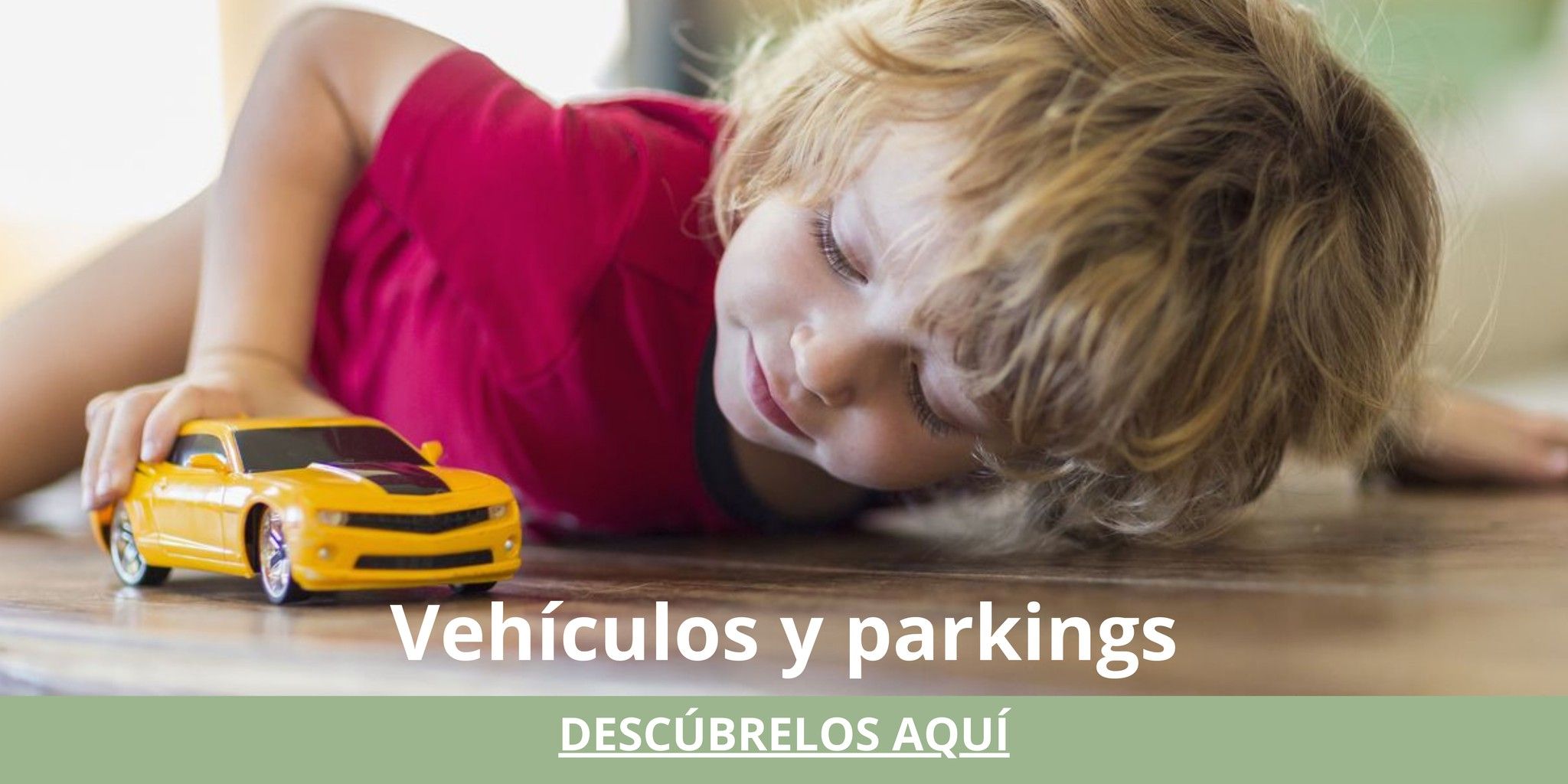 vehiculos-parkings