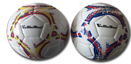 Selection soccer ball
