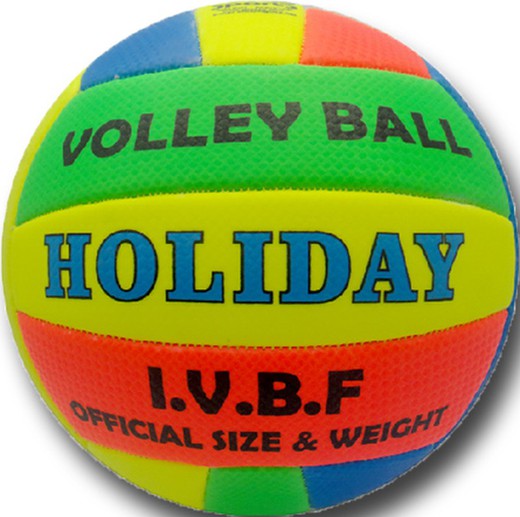 Volleyball holiday