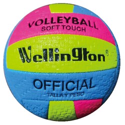 Ballon de volleyball officiel assorti