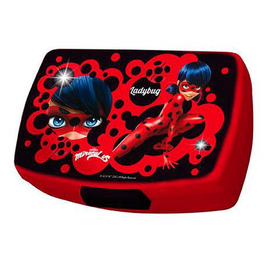 Lady Bug lunch box