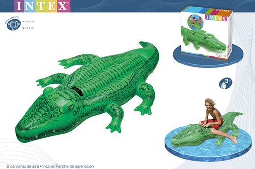 Figura de crocodilo 203cm +3