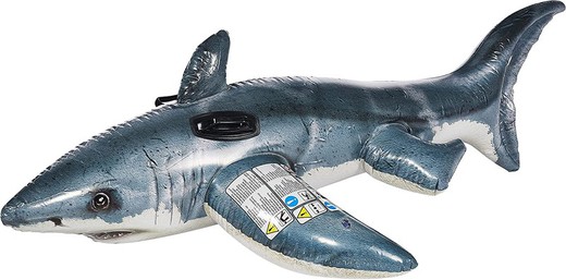 Figure de requin réel 173 cm + 3
