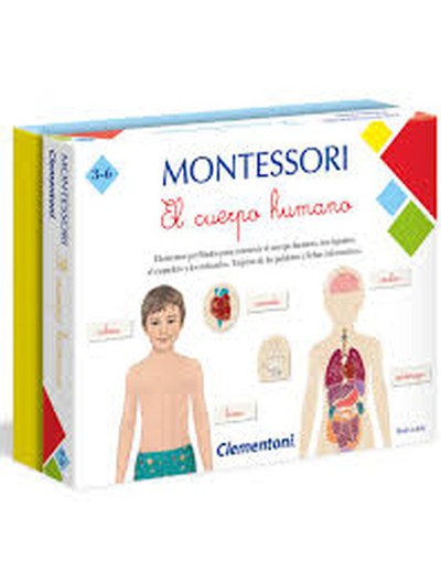 Montesori het menselijk lichaam