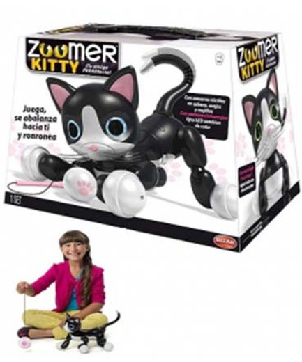 Zoomer kitty