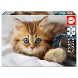 PZ  200 GATITOS