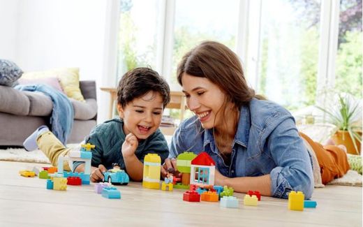 Duplo Brick Box 65 pièces