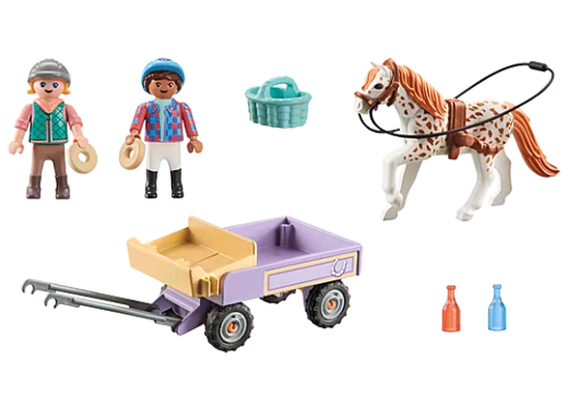 Carruaje Con Poni