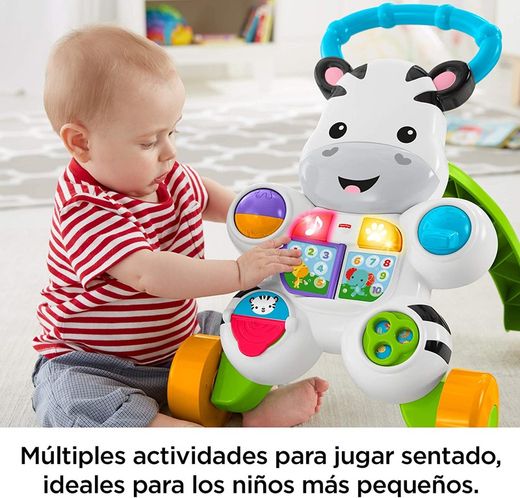 CEBRA PARLANCHINA PRIMEROS PAS