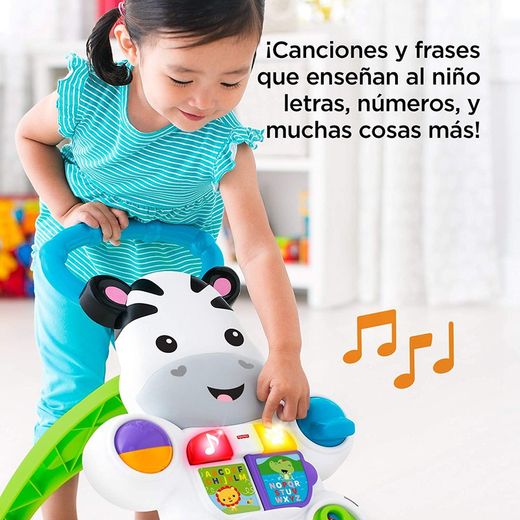 CEBRA PARLANCHINA PRIMEROS PAS