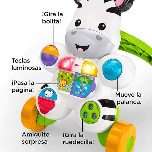 CEBRA PARLANCHINA PRIMEROS PAS