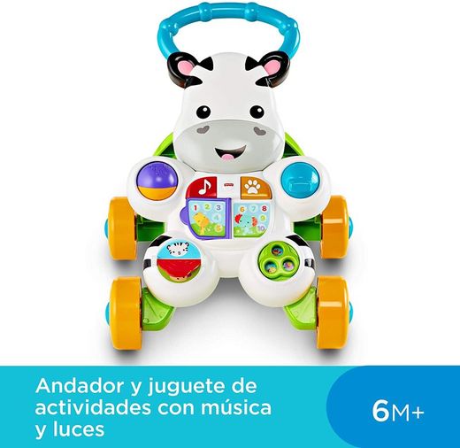 CEBRA PARLANCHINA PRIMEROS PAS