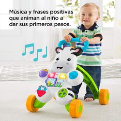 CEBRA PARLANCHINA PRIMEROS PAS