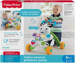 CEBRA PARLANCHINA PRIMEROS PAS