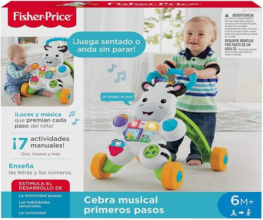 CEBRA PARLANCHINA PRIMEROS PAS