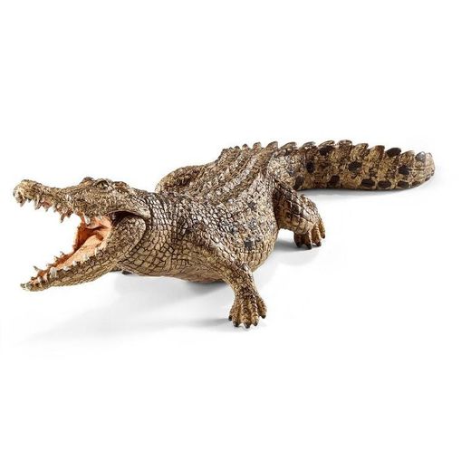 Cocodrilo