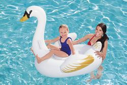 Figura cisne 122x122cm +3