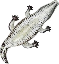 Figura Cocodrilo Real 170Cm +3