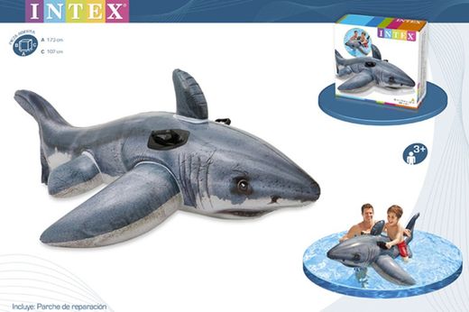 Echt haaienfiguur 173 cm. + 3