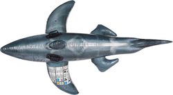 Echt haaienfiguur 173 cm. + 3