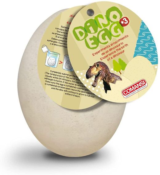 Huevos De Dinosaurio Exp.6