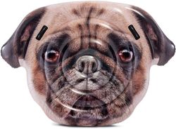 Pug Island 173X130