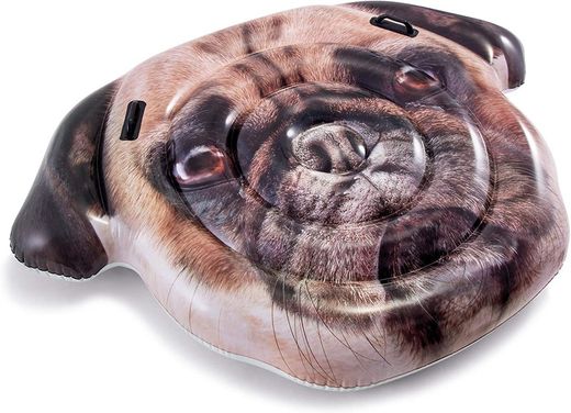 Pug Island 173X130