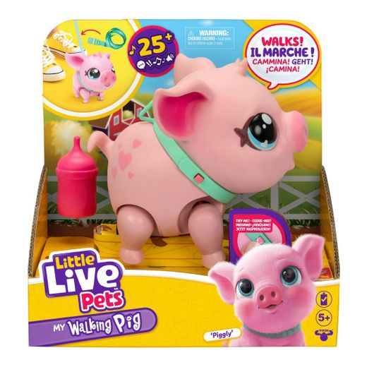 LLP - MY PIG PET