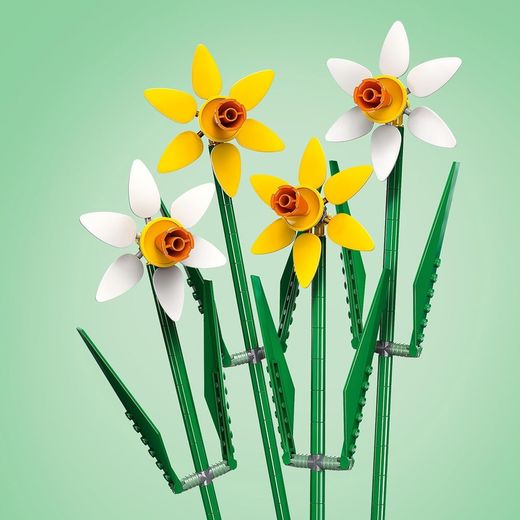 Narcisos Lego
