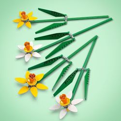 Narcisos Lego