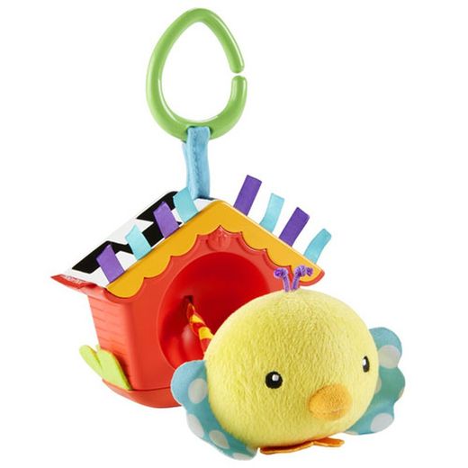 Oiseau pio pio