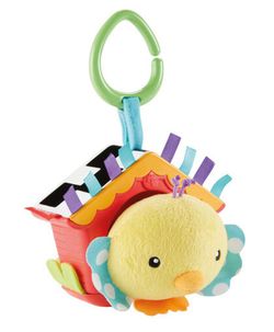 Oiseau pio pio