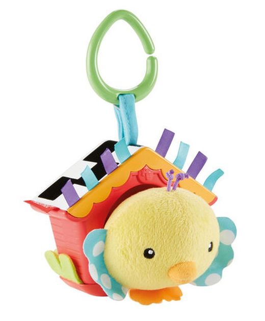 Oiseau pio pio