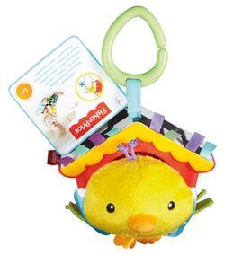 Oiseau pio pio