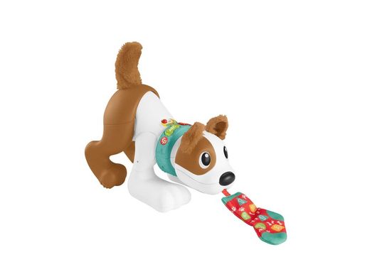 Perrito Gatea Y Juega Conmigo