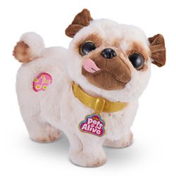 Perrito Pug Bailarín
