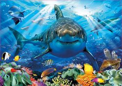 Puzzle 500  Gran Tiburon Blanco