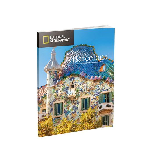 PUZZLE 3D SAGRADA FAMILIA NATIONAL GEOGRAPHIC
