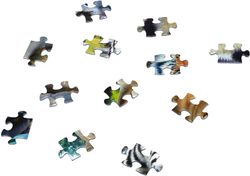 PZ 300 FOTO DE CLASE