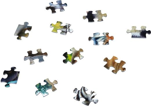 PZ 300 FOTO DE CLASE