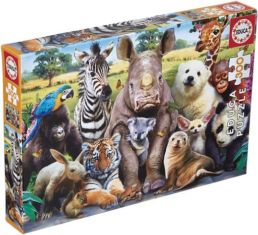 PZ 300 FOTO DE CLASE