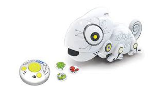 Chameleon robot
