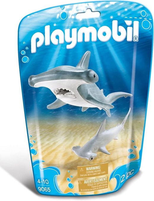 Baby Hammerhead Shark