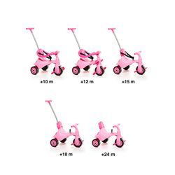 Tricycle Urbain Trike II Rose